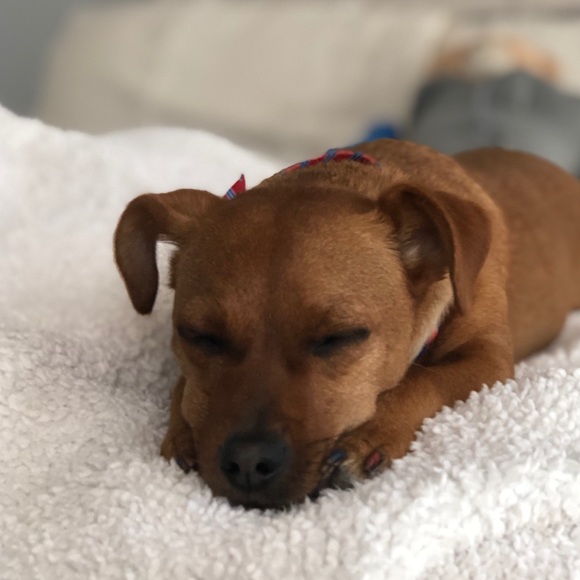 Meet your Posher, Emily - Picture 1 of 1